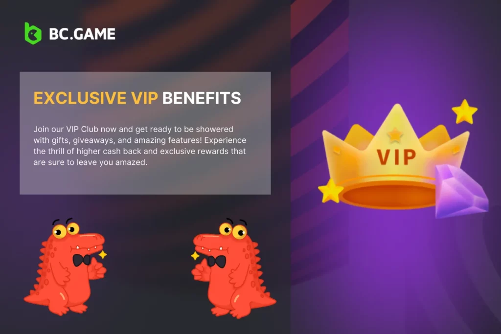 Unique VIP Bonuses