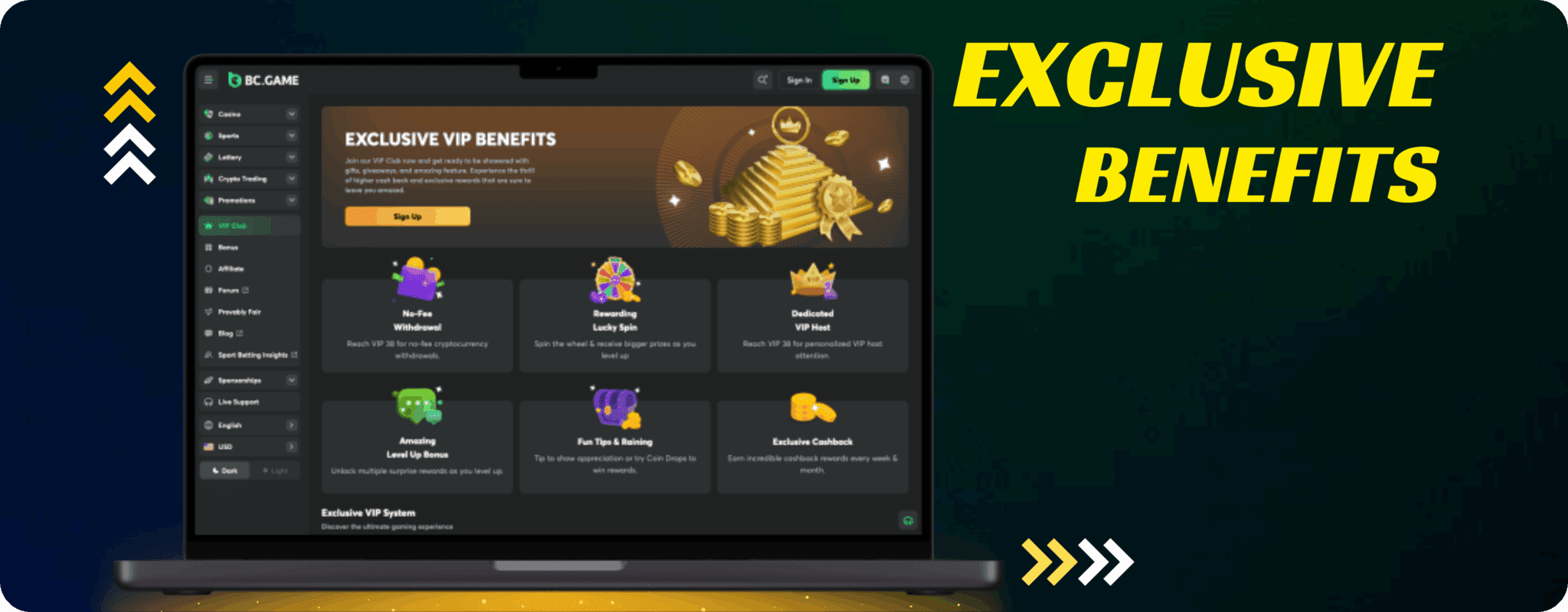 Benefits of Weekly Bonus for BD Players